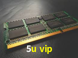 Bônus Diários 5u vip