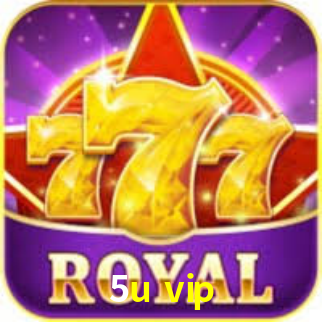 Interface Premium 5u vip